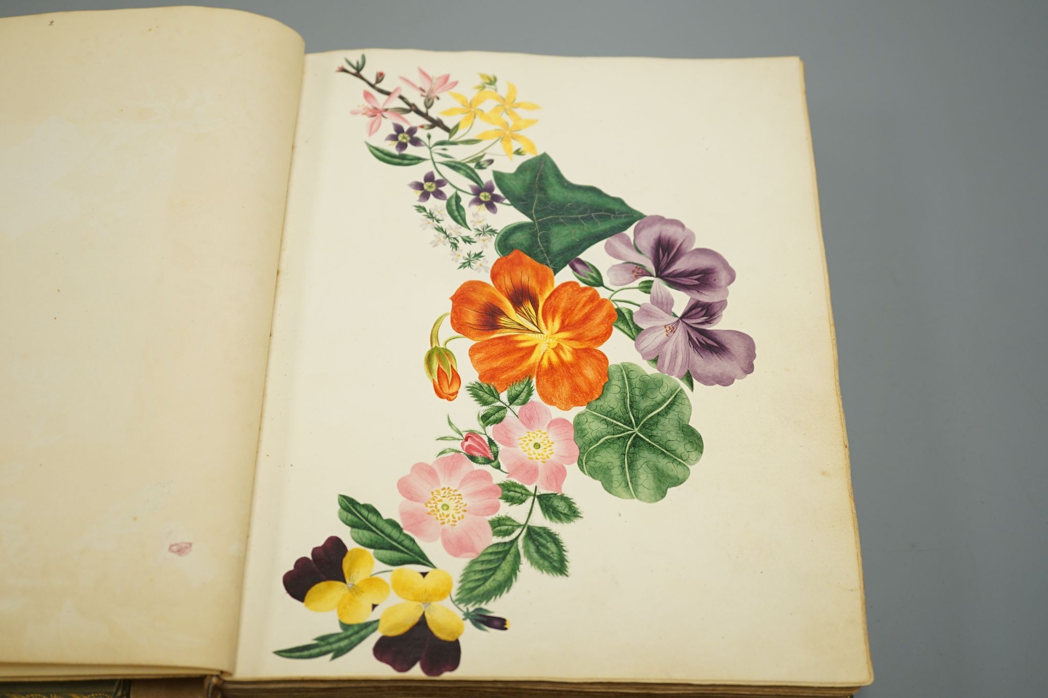 An early 19th century album of 152 watercolours, and pencil and ink drawings, including natural history still life subjects, land and seascapes and vignettes, many with accompanying verse and prose, by approximately 30 d